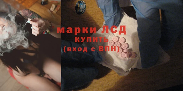 хмурый Белокуриха