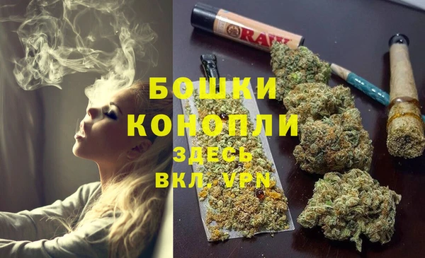 хмурый Белокуриха