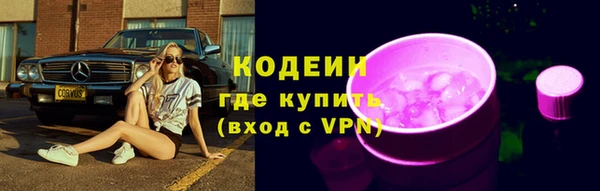хмурый Белокуриха