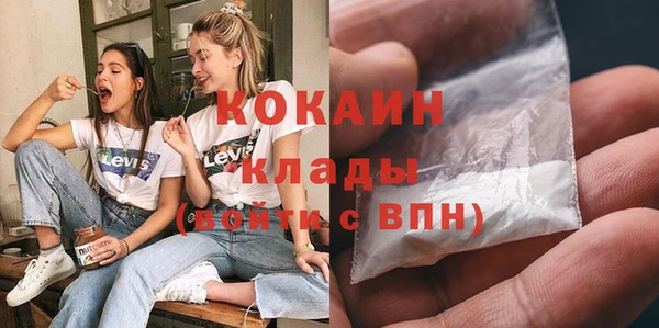 хмурый Белокуриха