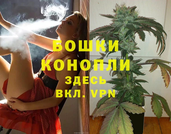 хмурый Белокуриха
