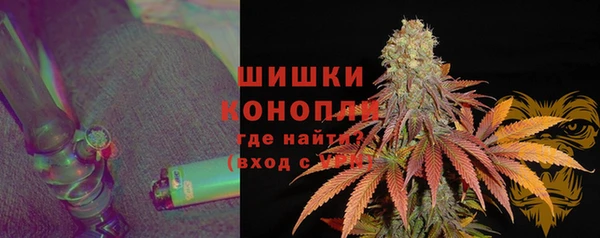 хмурый Белокуриха