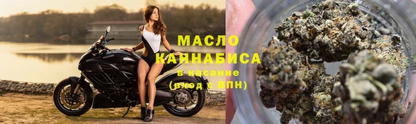 хмурый Белокуриха