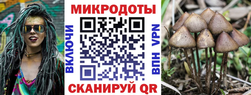 Псилоцибиновые грибы ЛСД  где купить наркоту  Севск 